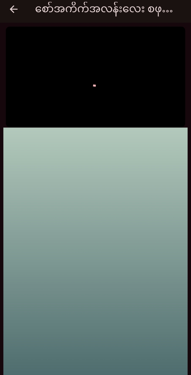1Kar Video player screenshot